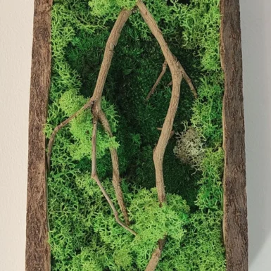 Mangrove – Cadre végétal stabilisé
